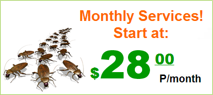 Monthly Service! Start at: $28.00 P/Month